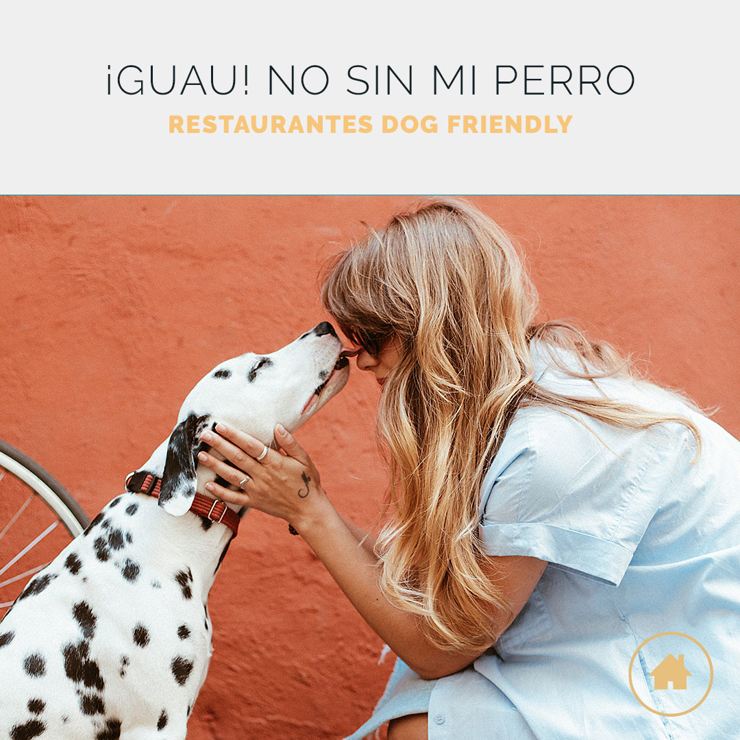 Restaurantes dog friendly