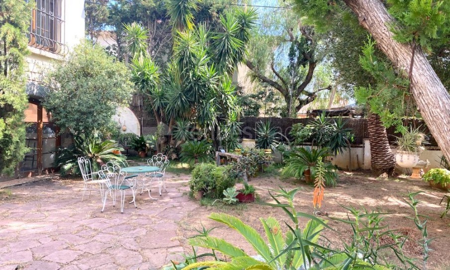Jardín en Ca l'Habana - Chalet Botanico 