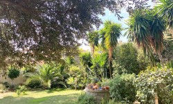 Jardin en Ca l'Habana - Chalet Botanico 
